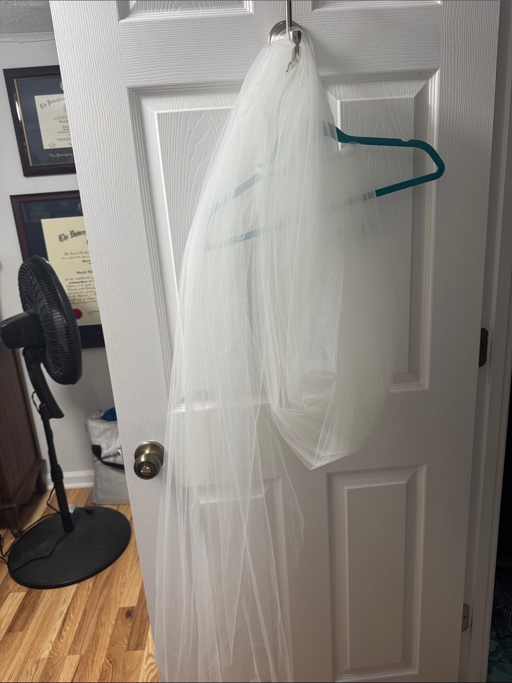 BHLDN Ivory Lace Sheath Bridal Gown with Veil - Picture 3 of 3